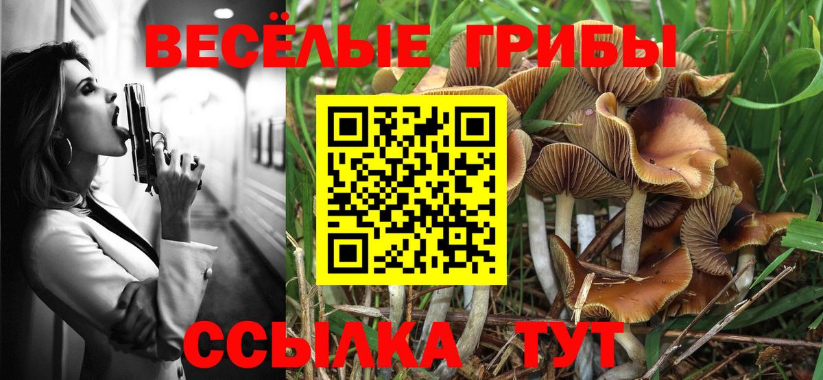 Можайск  Псилоцибиновые грибы GOLDEN TEACHER  Вход с VPN 
